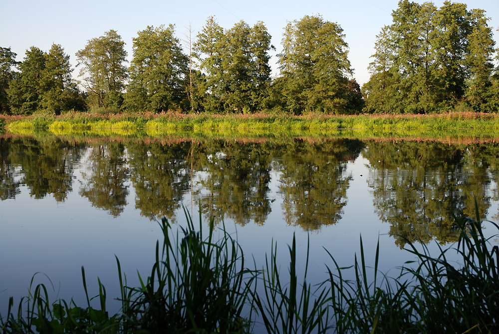 Spiegelung in der Naab bei Schwandorf