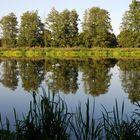 Spiegelung in der Naab bei Schwandorf