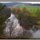 Spiegelung in der Saale