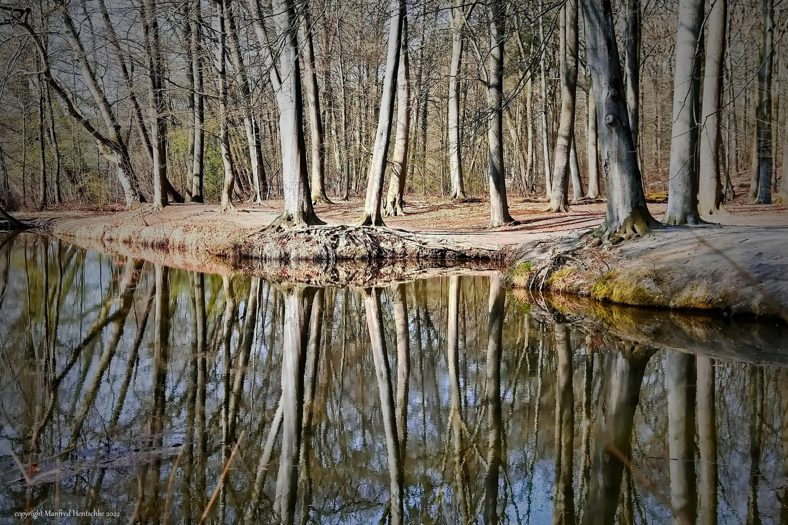 Spiegelung in der Stever 