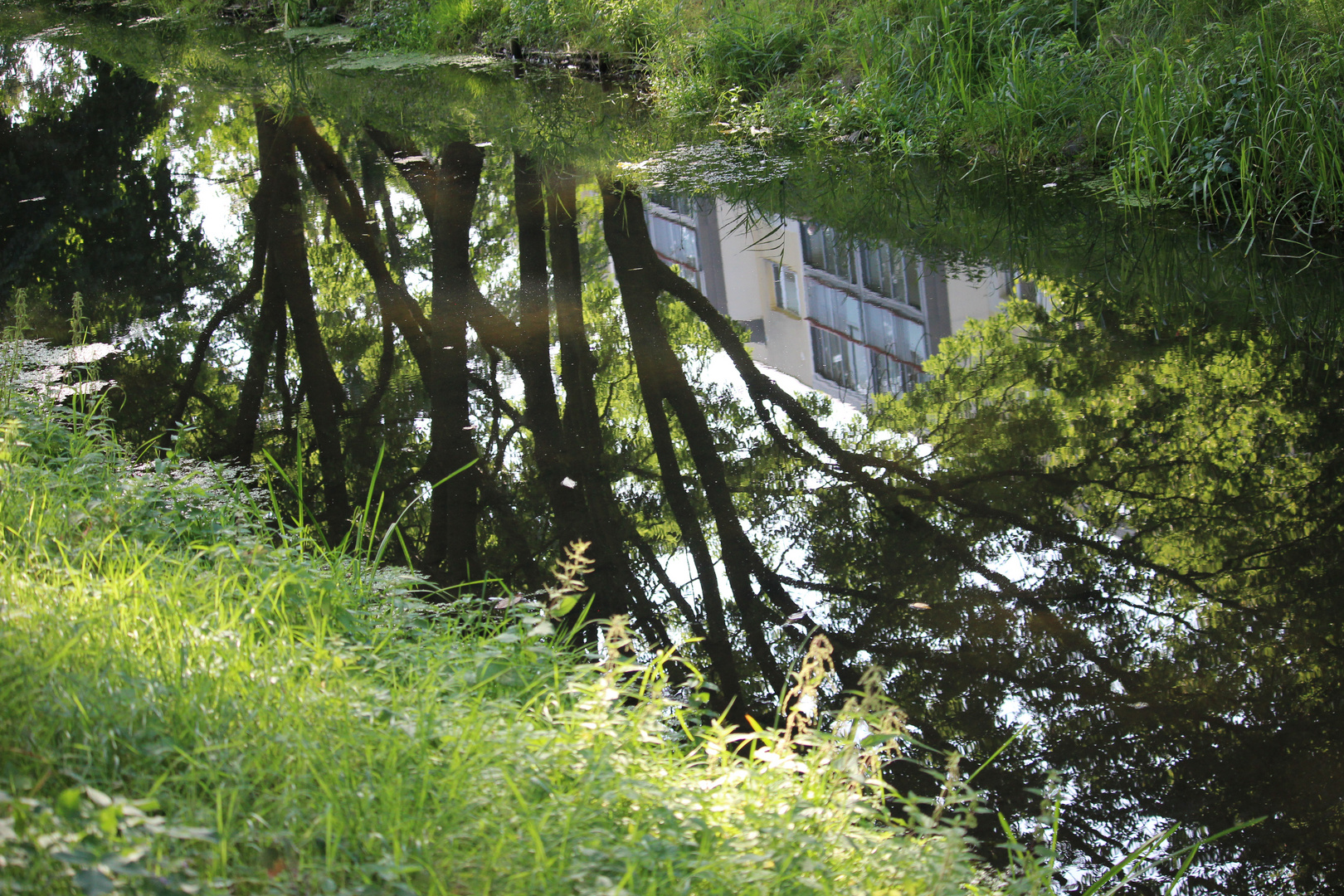 Spiegelung in der Uchte