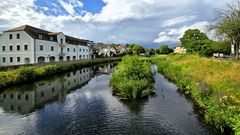 Spiegelung in der Weissen Elster