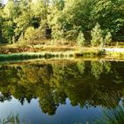 Spiegelung in einem Teich im Wald .....