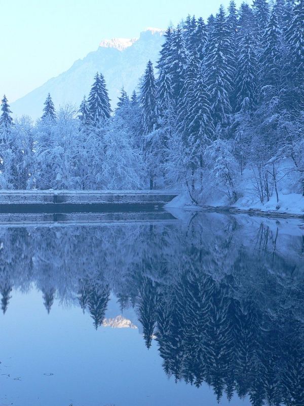 Spiegelung in einem Weiher