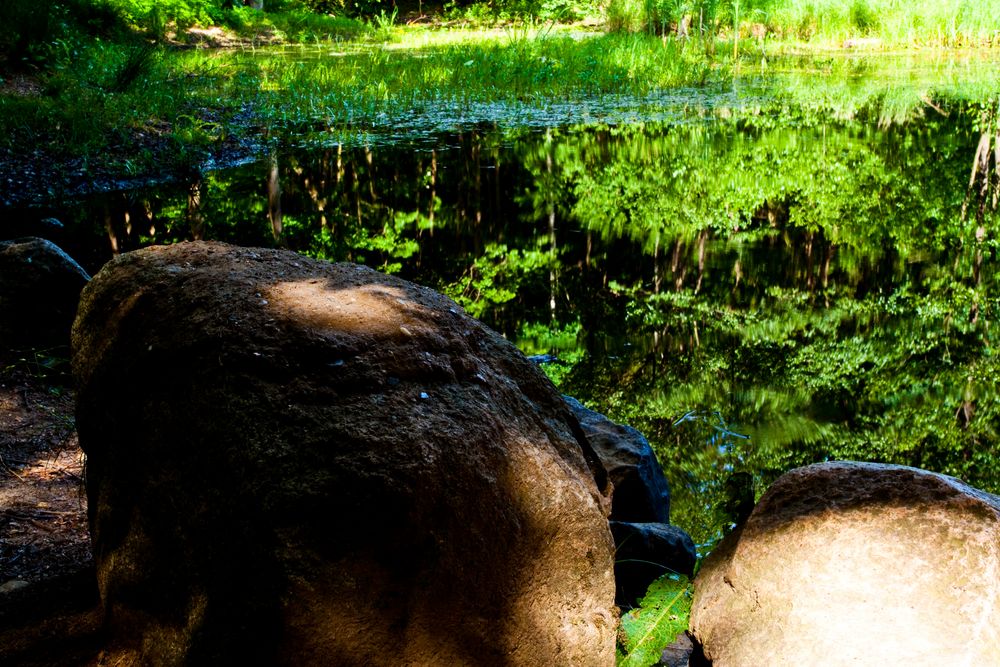 Spiegelung in kleinem Teich