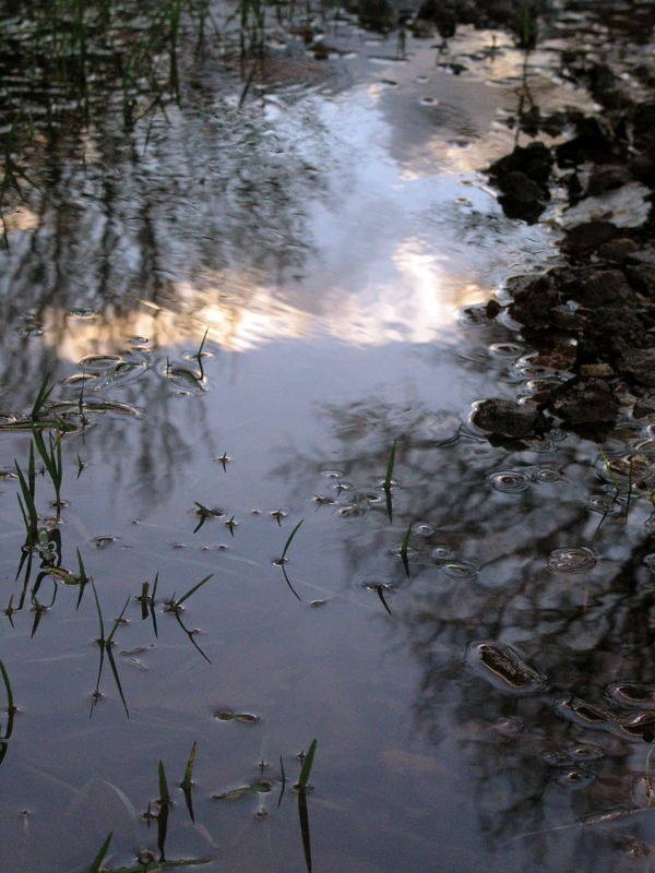 Spiegelung in Pfützen1