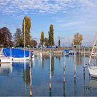 spiegelung in romanshorn (2)