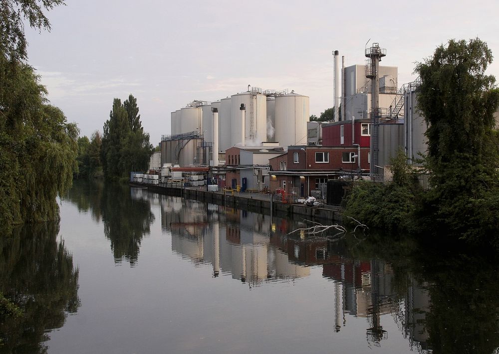 Spiegelung in seitlichem Nebenarm der Elbe