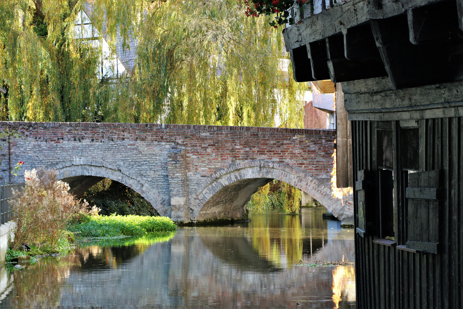 Spiegelung in Ulm