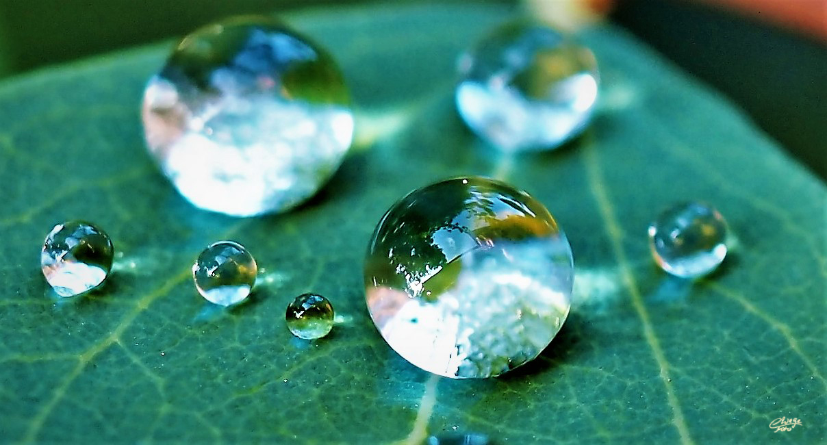 Spiegelung in "Wasserperlen"