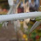 Spiegelung in Wassertropfen