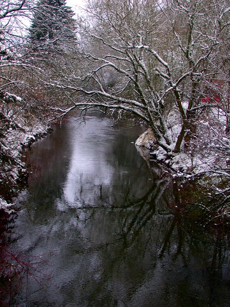 Spiegelung in Winter-Landschaft