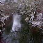 Spiegelung in Winter-Landschaft