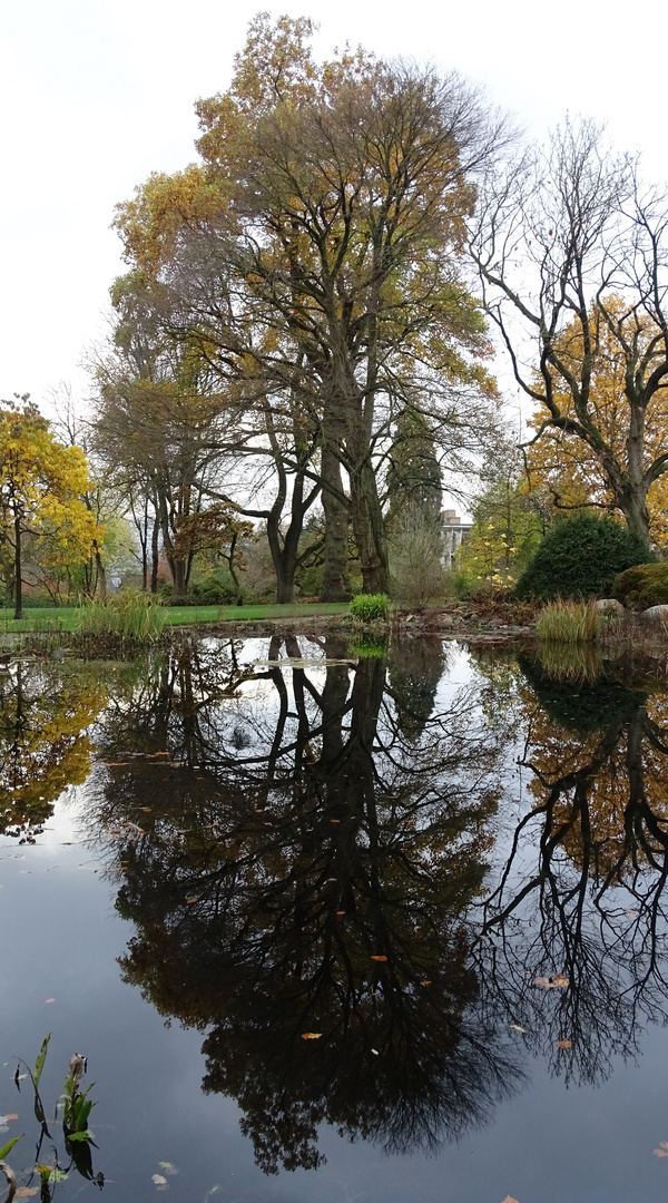 Spiegelung ins Park