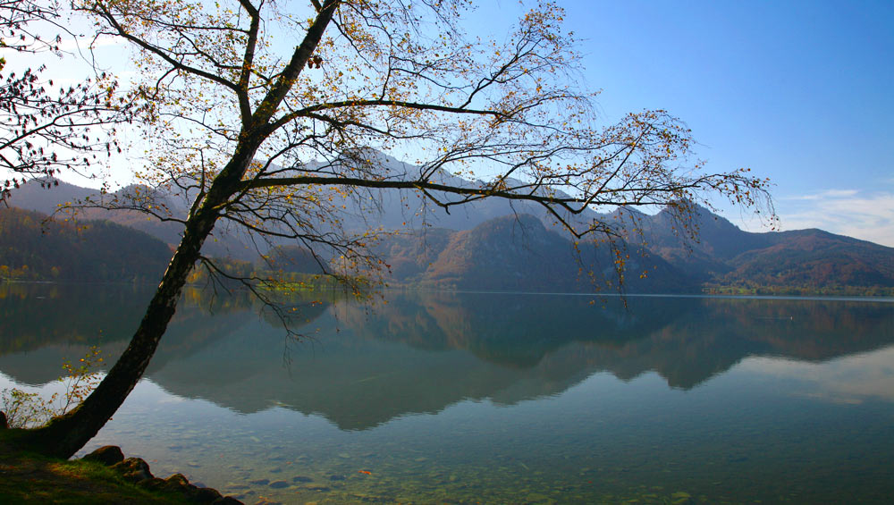 SPIEGELUNG-KOCHELSEE