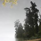 Spiegelung Lake Matheson auf dem Kopf