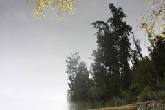 Spiegelung Lake Matheson auf dem Kopf