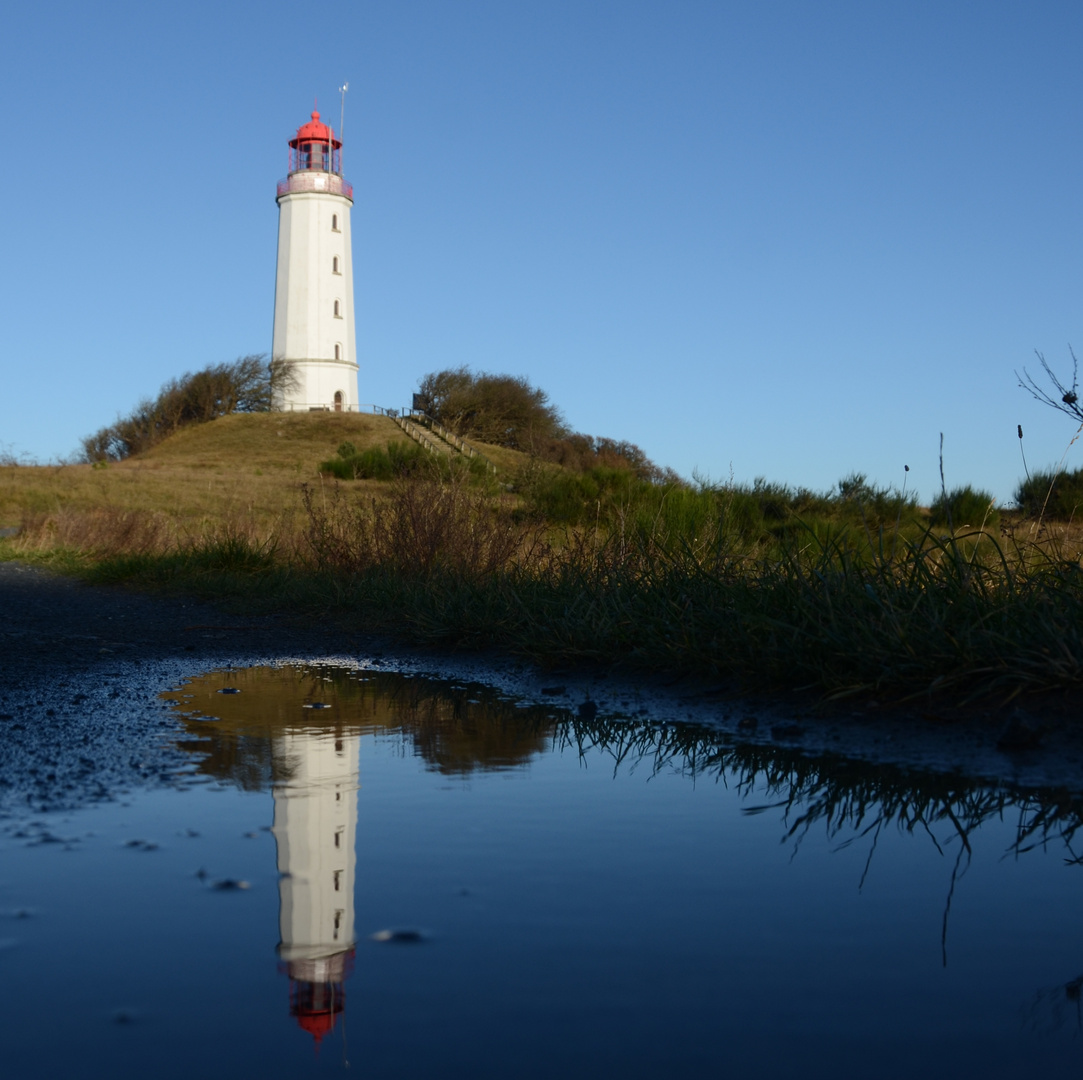 Spiegelung Leuchtturm Dornbusch