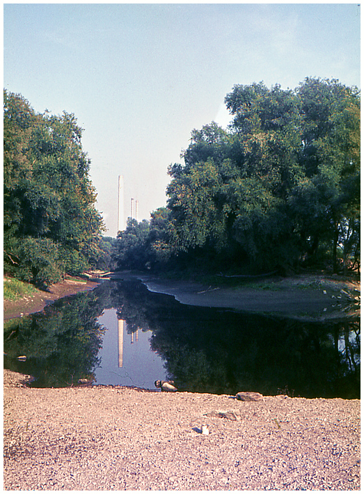 Spiegelung (Mannheim 1971)