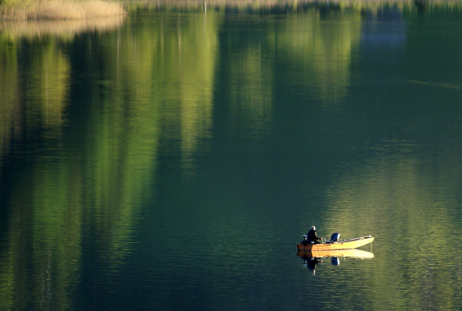 Spiegelung mit Fischer