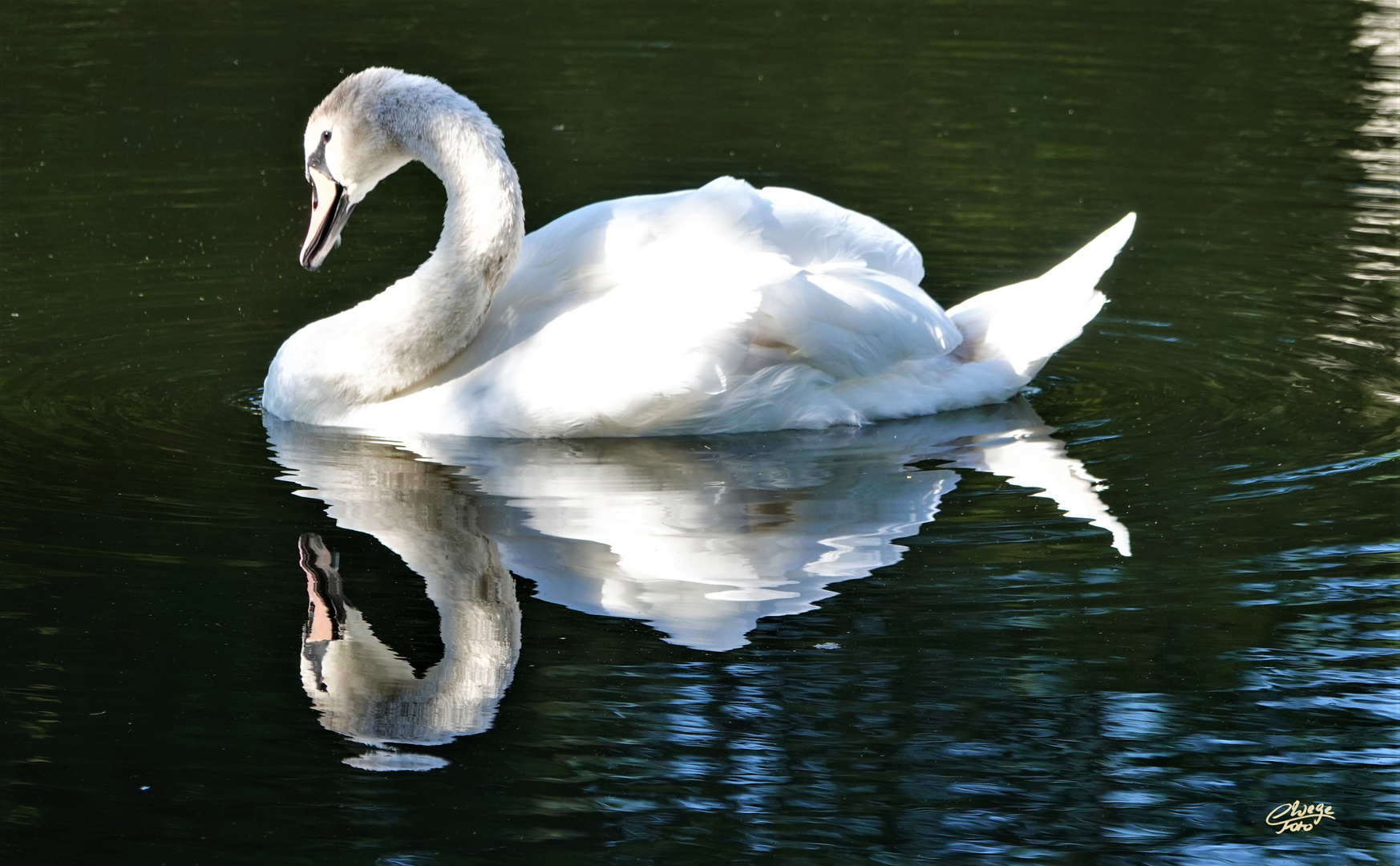 Spiegelung mit Heiligenschein