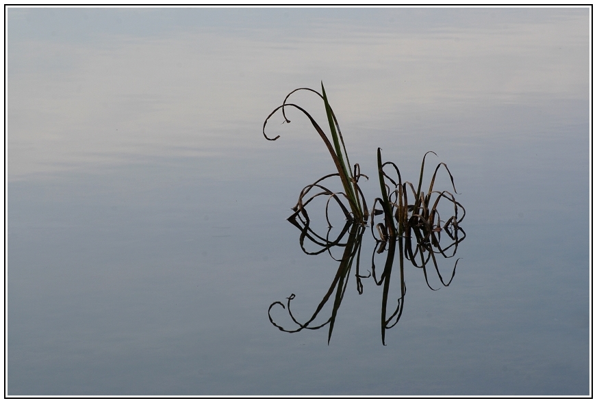 Spiegelung mit Herz