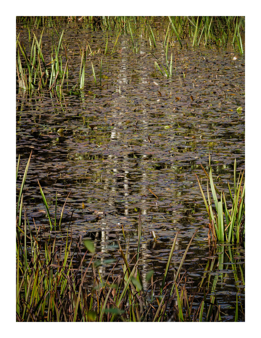 Spiegelung mit Hindernissen