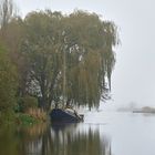 Spiegelung mit Nebel