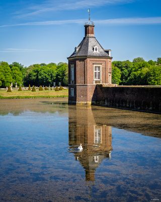 Spiegelung mit Schwan