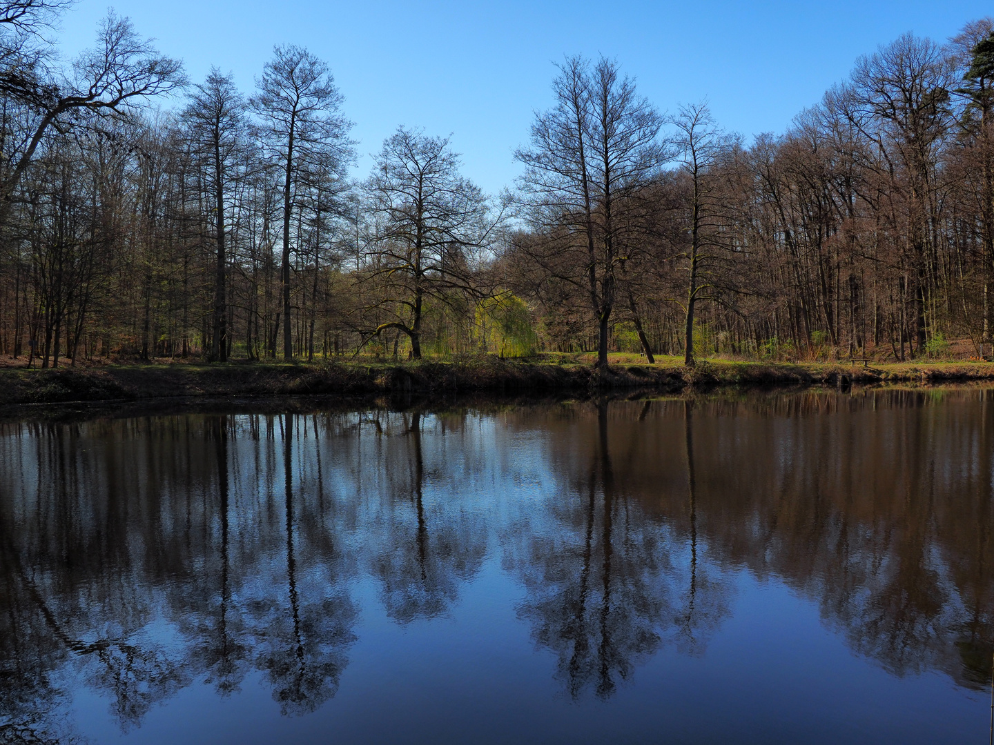 Spiegelung mit Wind