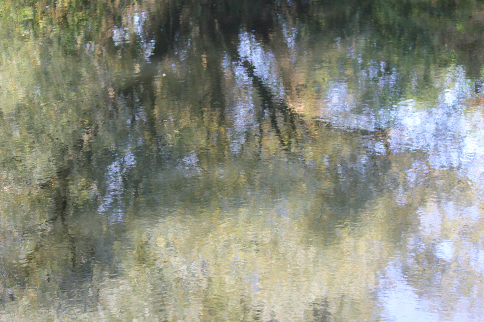 Spiegelung Naturschutzgebiet Baldeneysee Essen