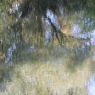 Spiegelung Naturschutzgebiet Baldeneysee Essen