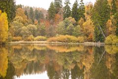 Spiegelung Neuer Teich Zorge