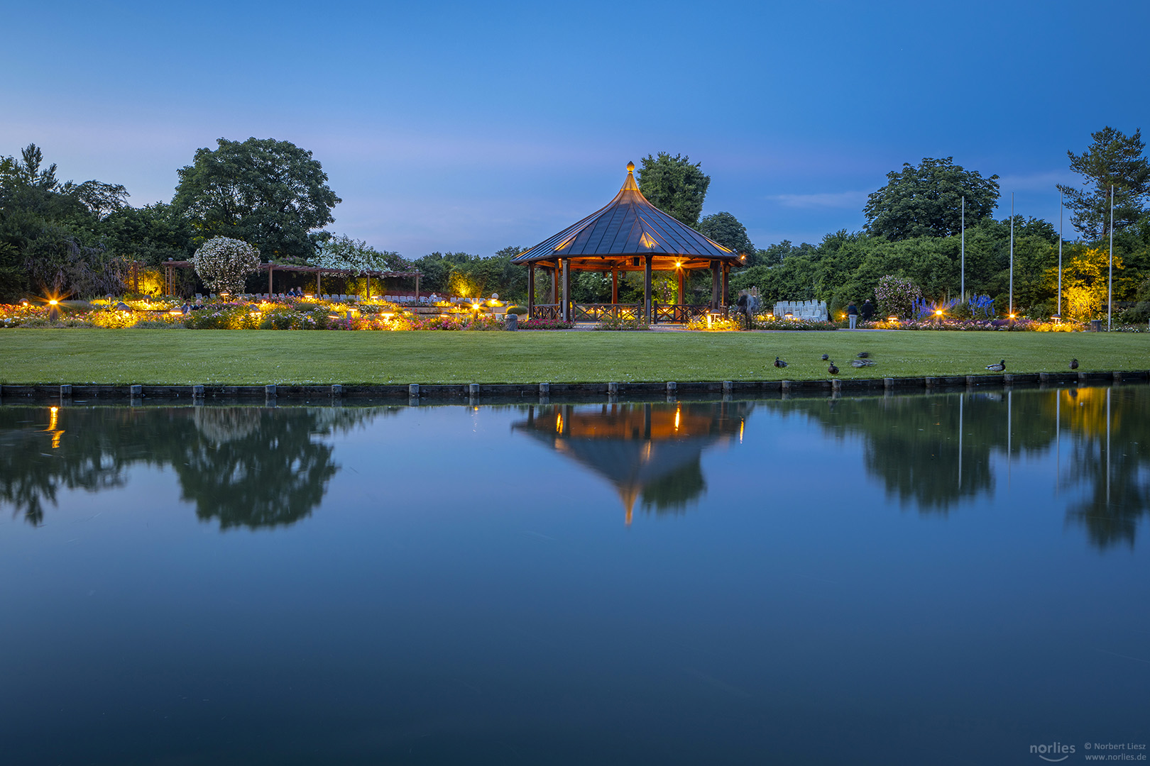 Spiegelung Rosenpavillon