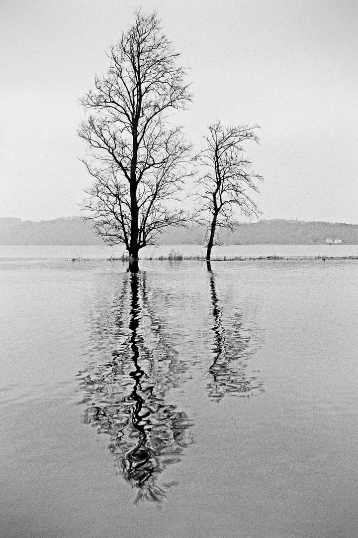 Spiegelung, Uckermark