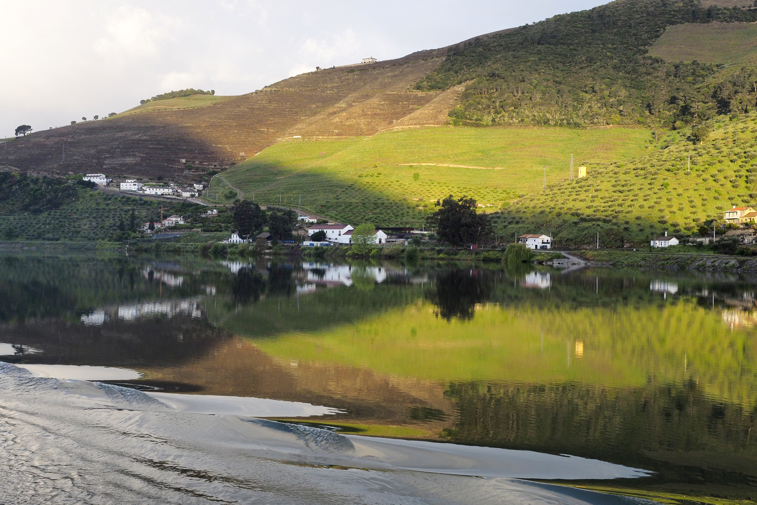 Spiegelung und Quintas (Weinbau) im Dourogebiet in Portugal