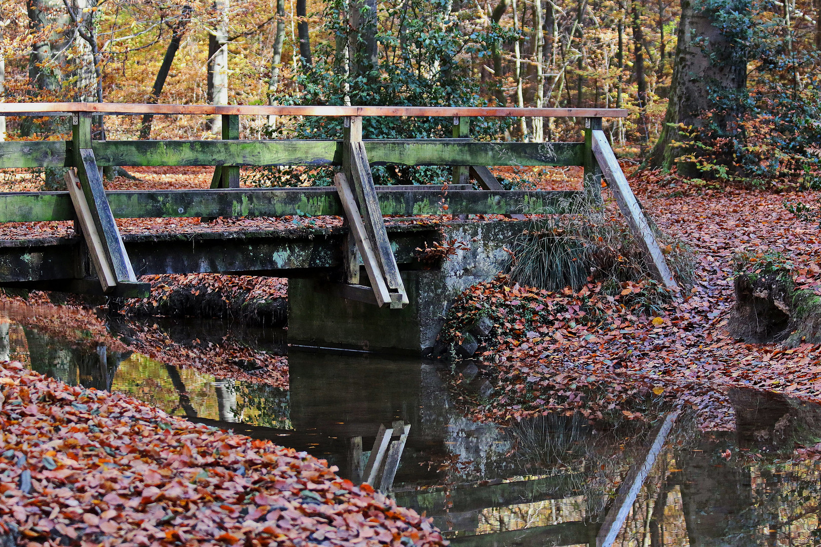 Spiegelung unter der Brücke