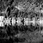 Spiegelung Walchensee Bootshaus 