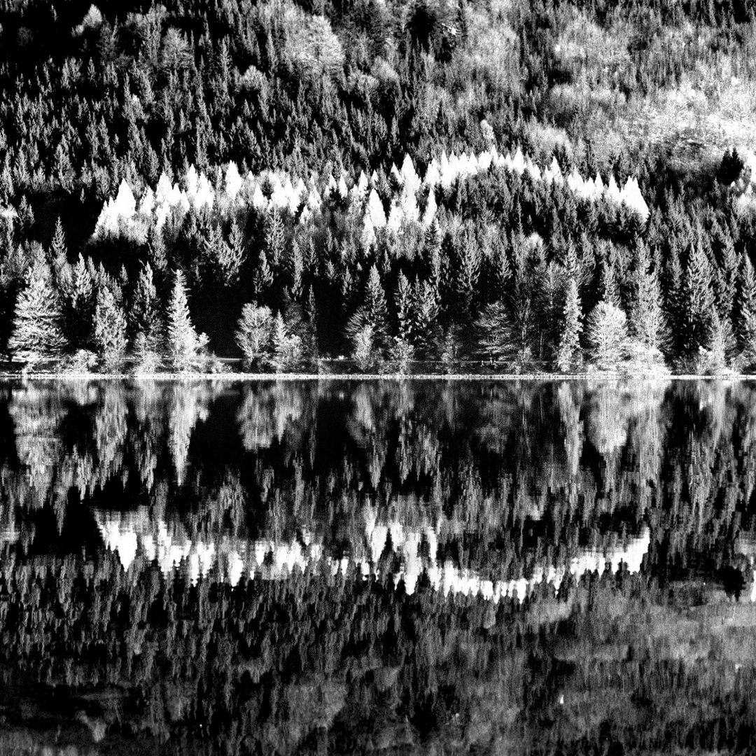 Spiegelung Walchensee red