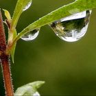 Spiegelung - Wassertropfen