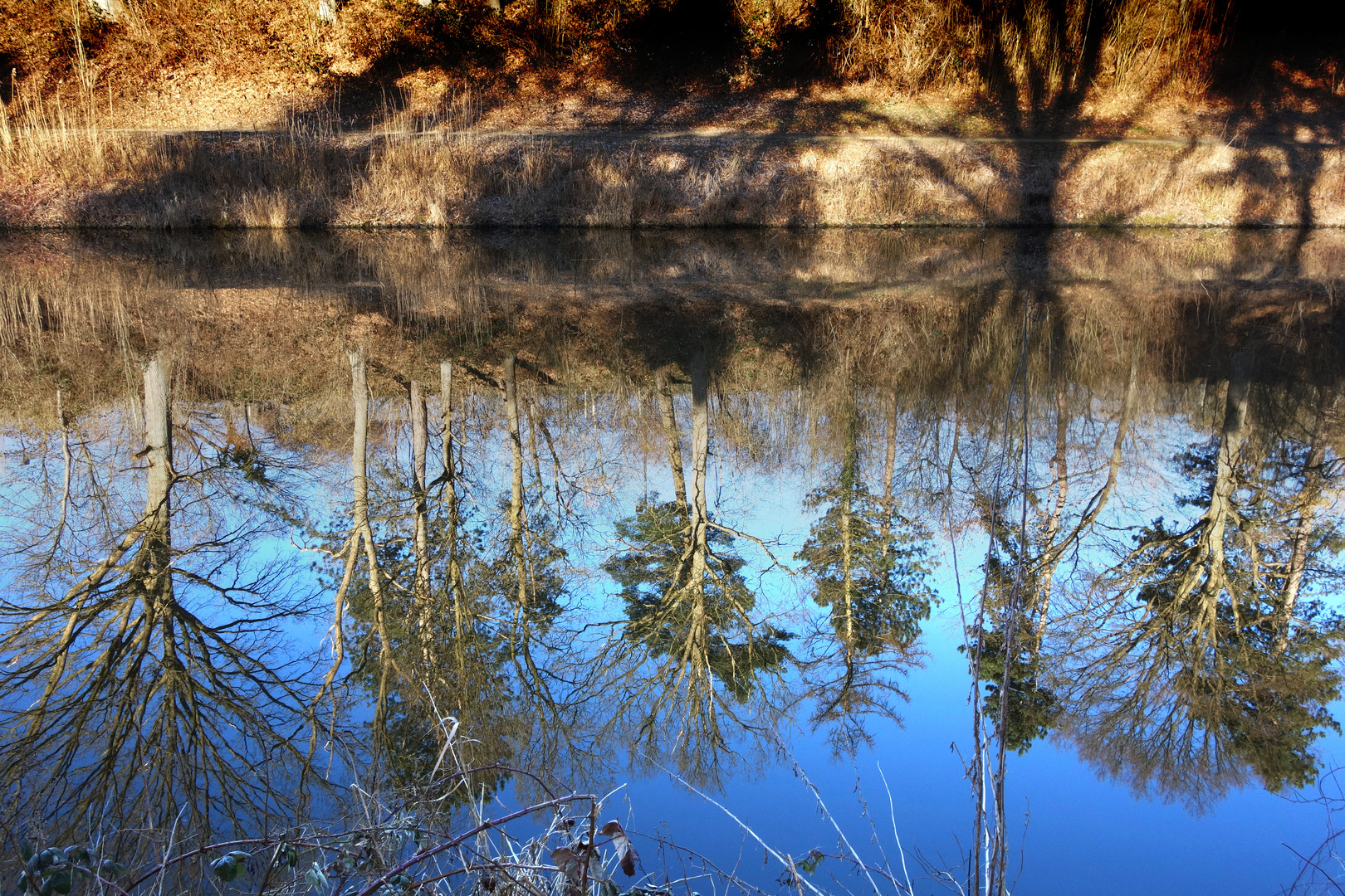 Spiegelung_am_Kanal