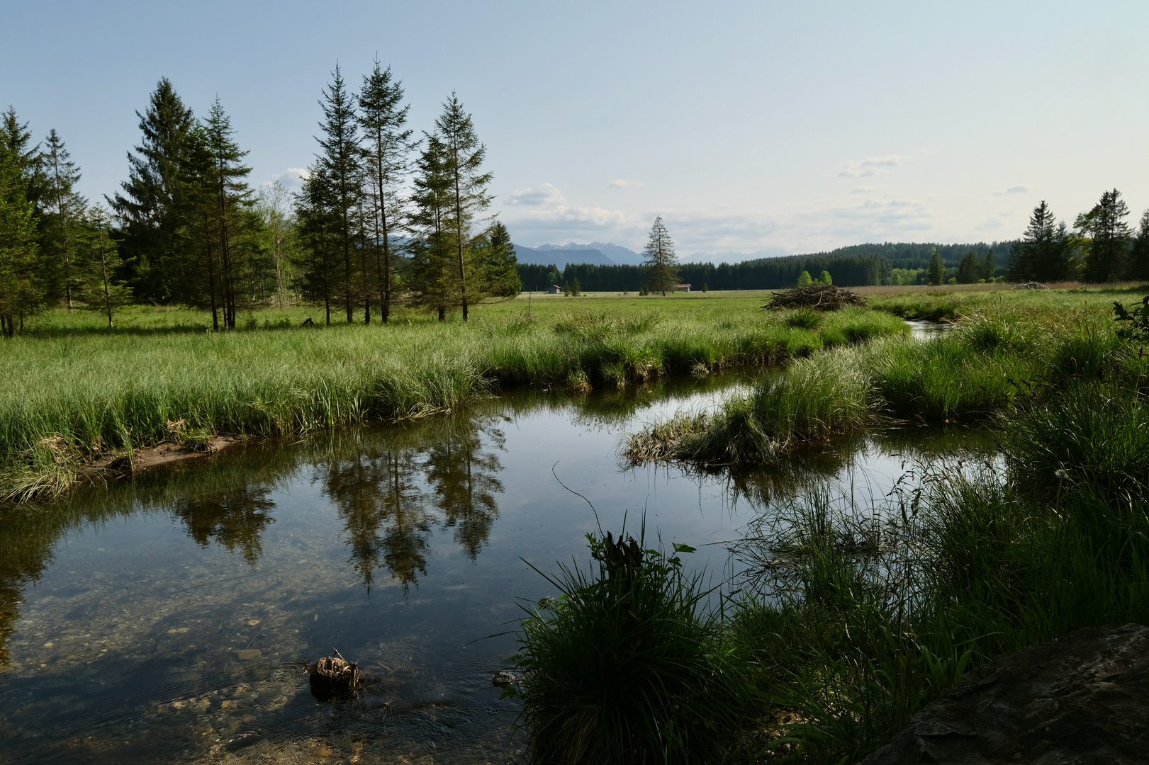 Spiegelungen