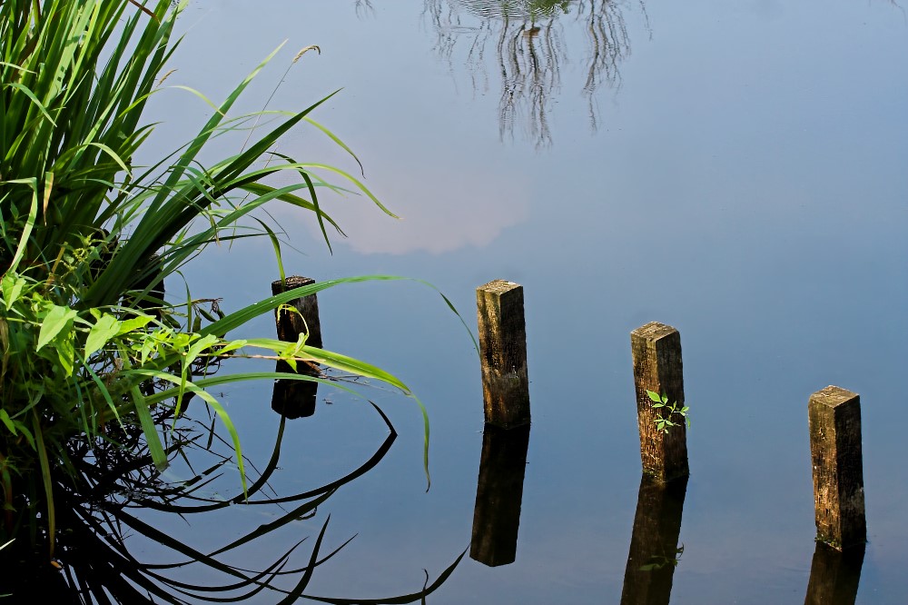 Spiegelungen