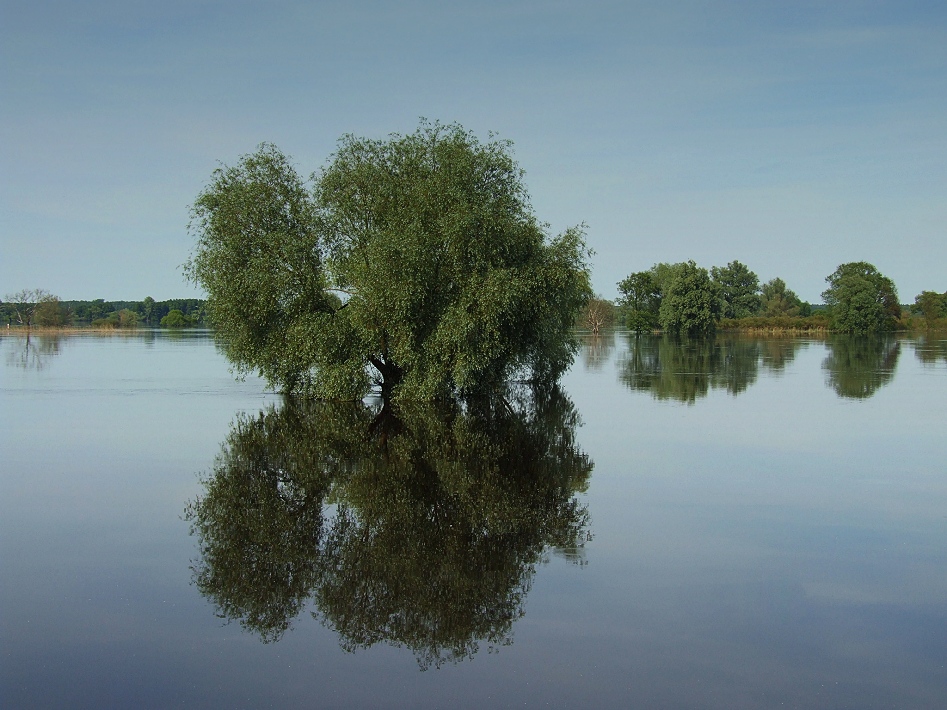 Spiegelungen