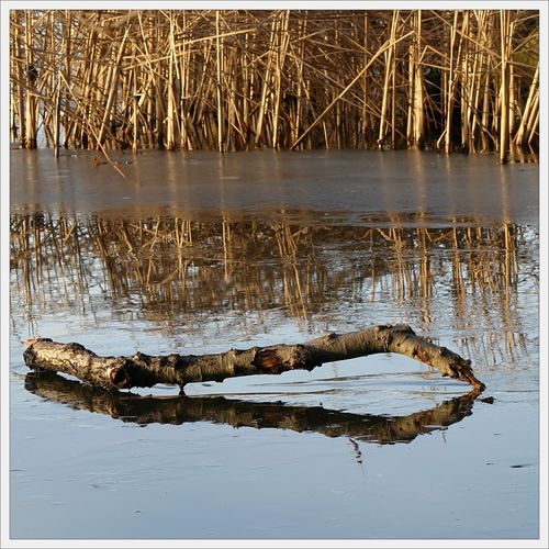 Spiegelungen