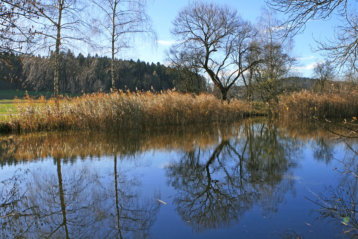 Spiegelungen