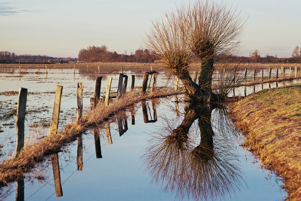 Spiegelungen