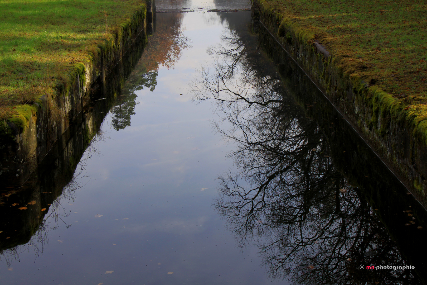 Spiegelungen