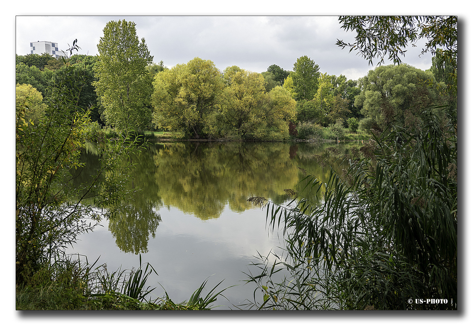 Spiegelungen #2 - Südsee