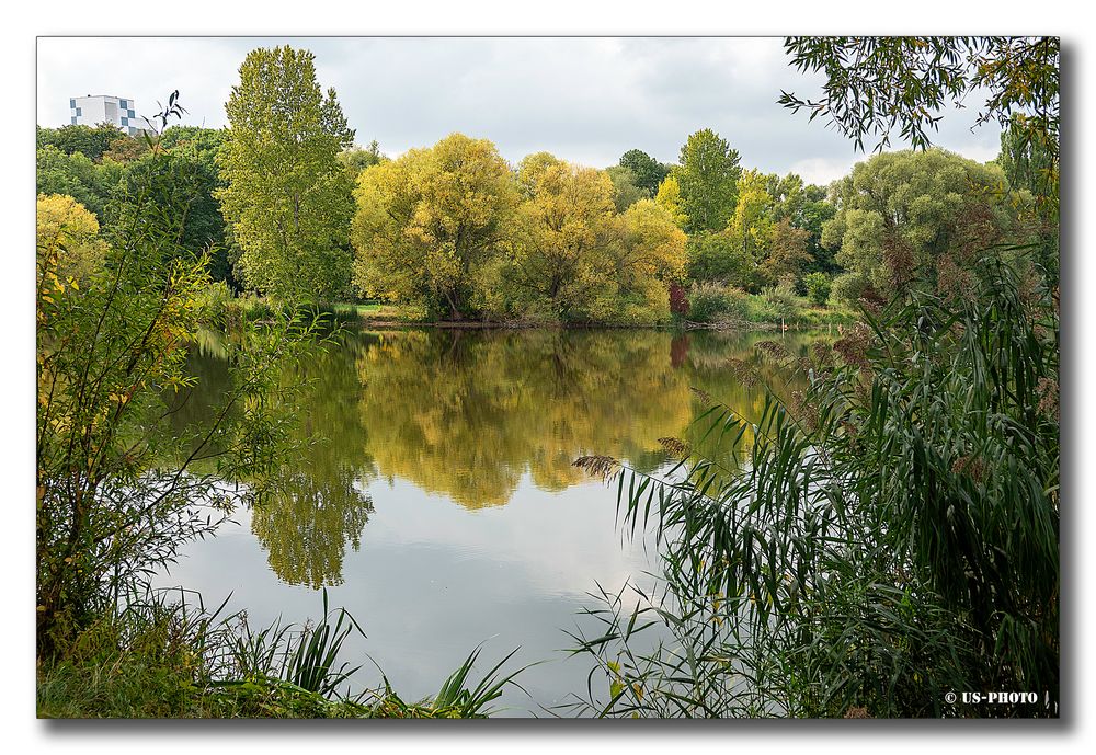 Spiegelungen #2 - Südsee